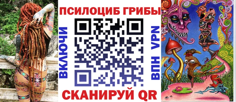 купить закладку  Терек  Псилоцибиновые грибы Psilocybine cubensis 
